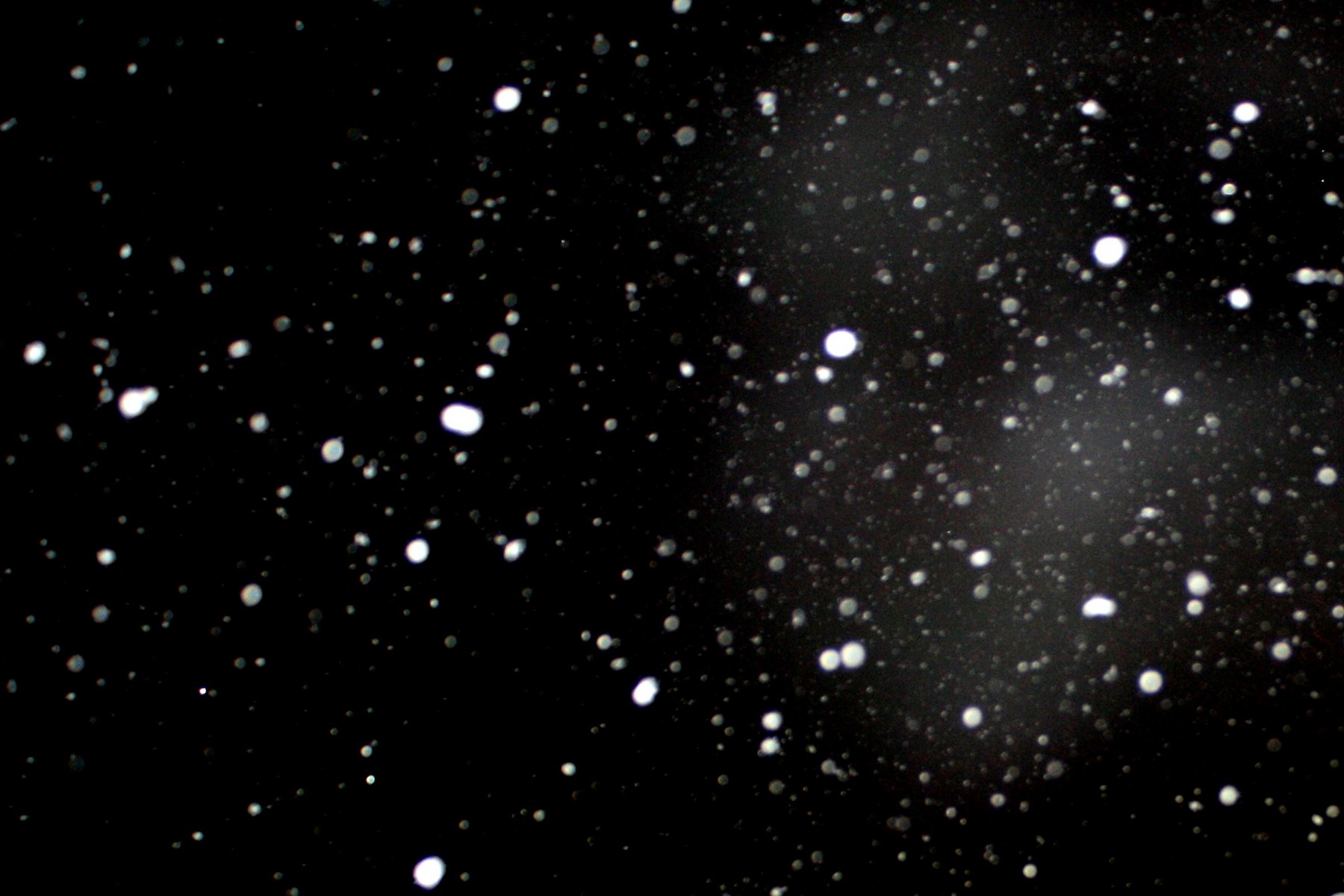 Falling Snowflakes Dark Background | HD Wallpapera (High Resolution)