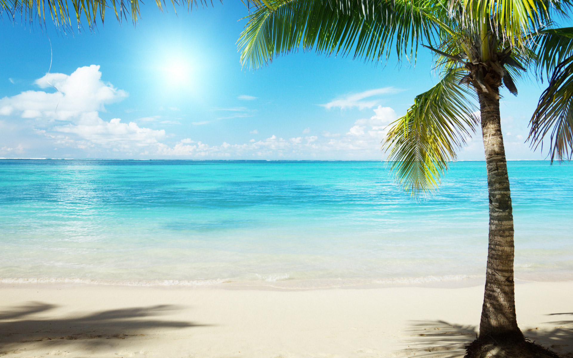 High Quality Sunny Beach Wallpaper Full HD Pictures