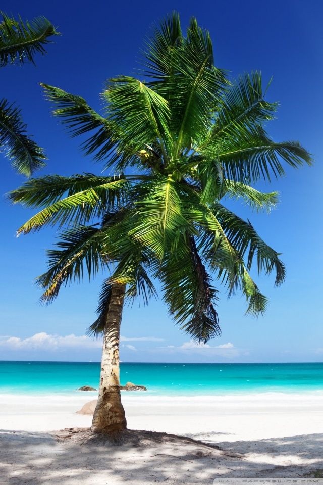 Sunny Beach HD desktop wallpaper : High Definition : Fullscreen ...