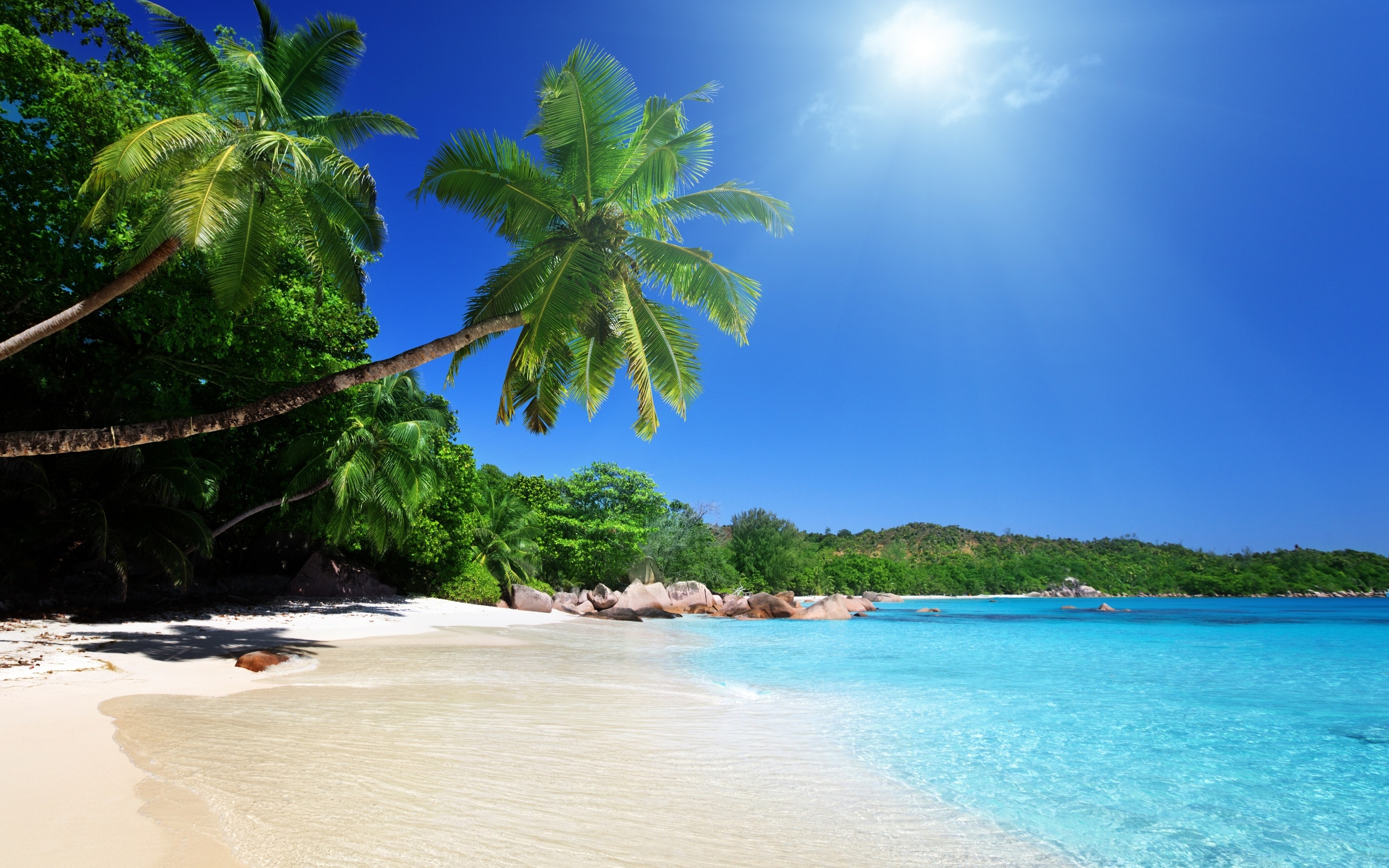 Sunny Beach Desktop Wallpaper