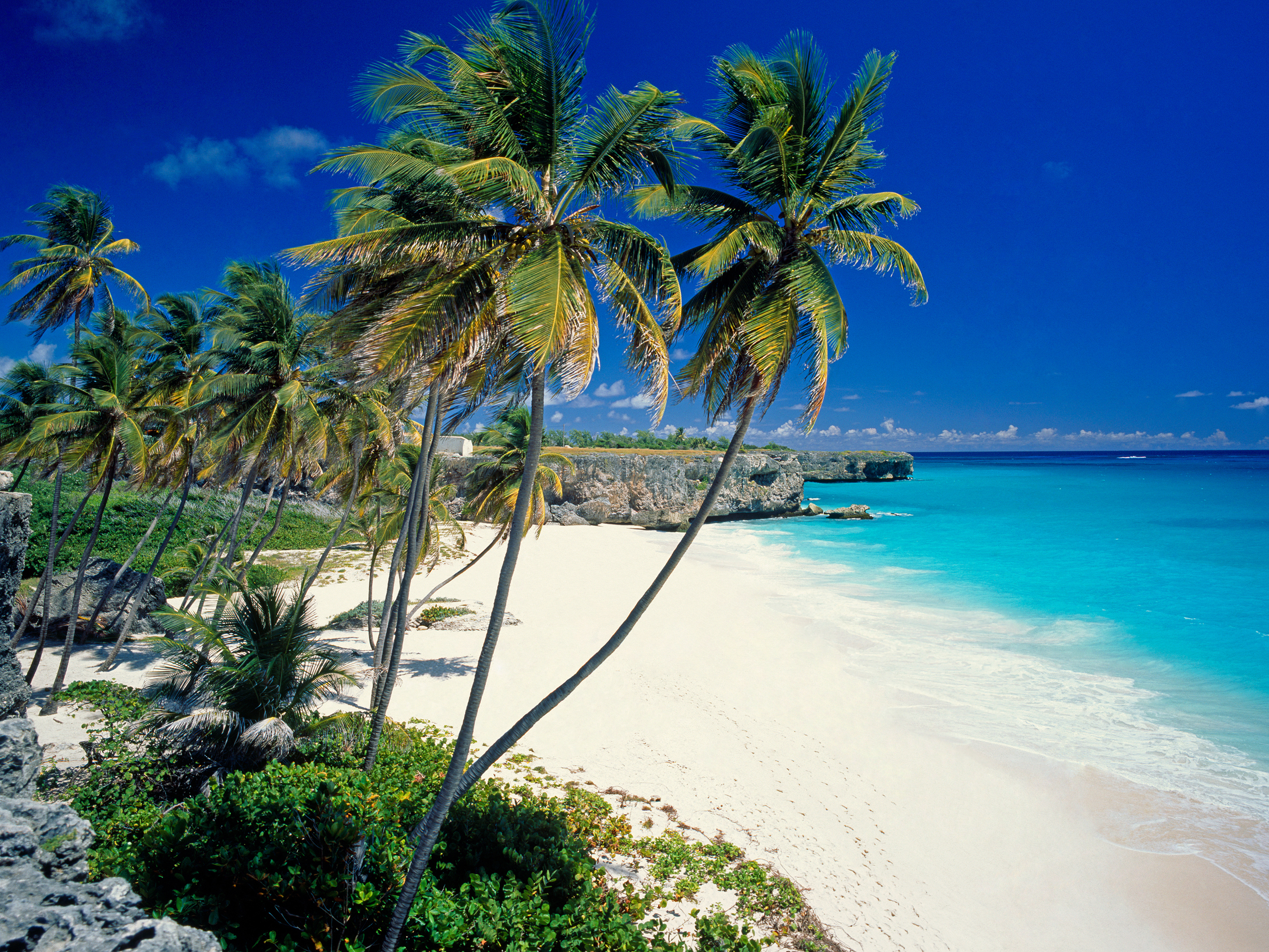 Sunny beach in barbados wallpapers and images - wallpapers ...