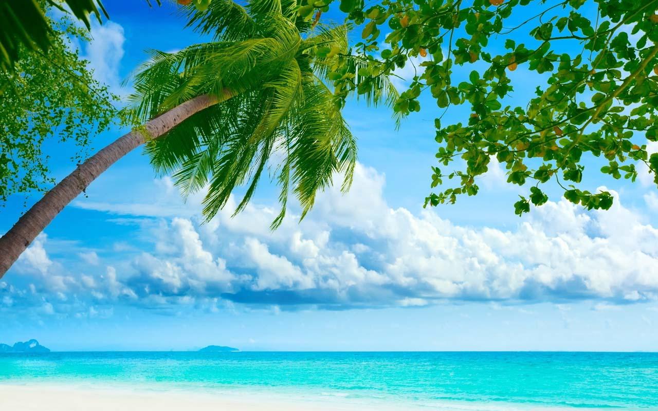 Sandy Beach Wallpaper HD - Android Apps on Google Play