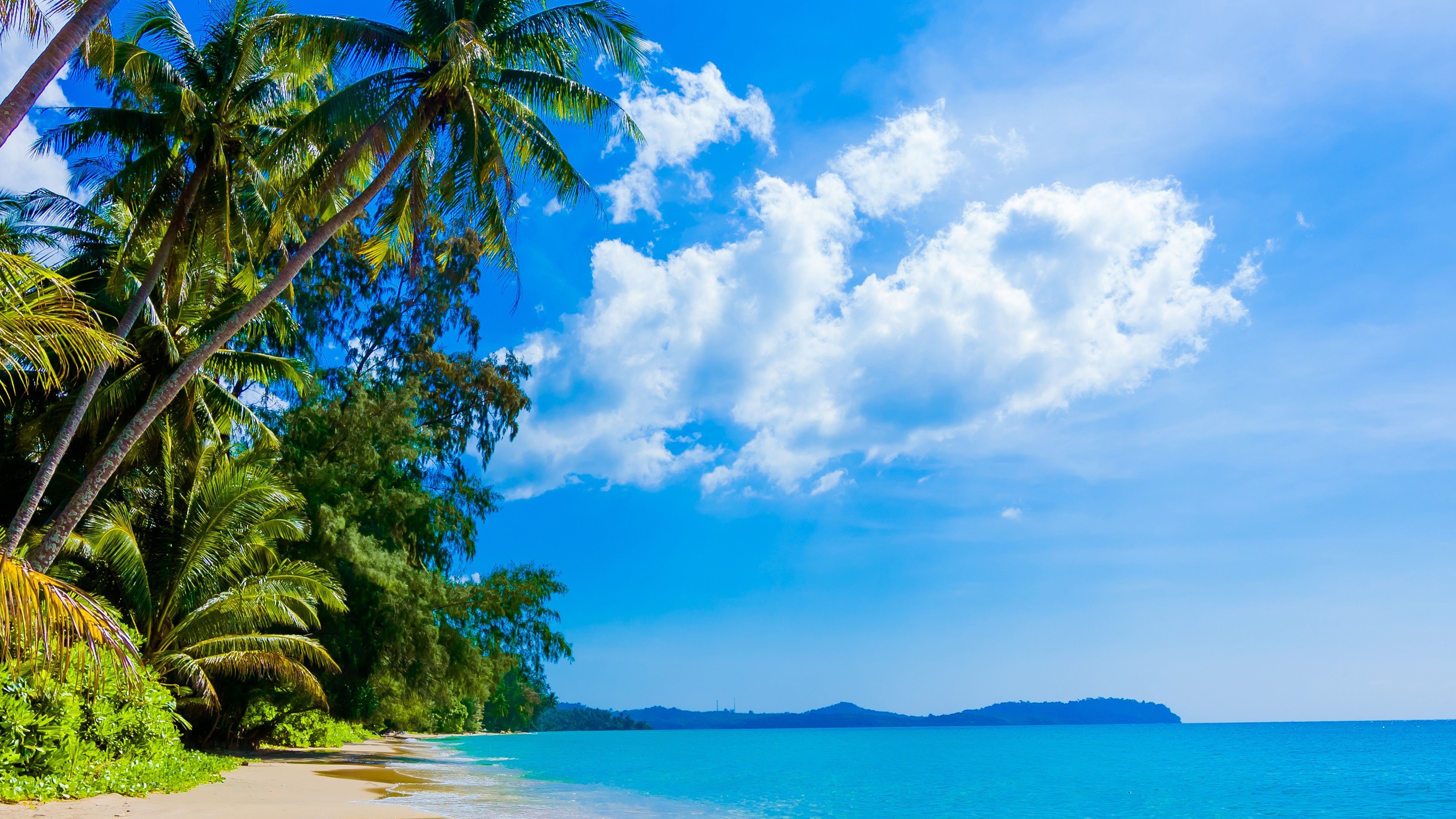 Wallpaper Download 5120x2880 Sunny day on the beach HD