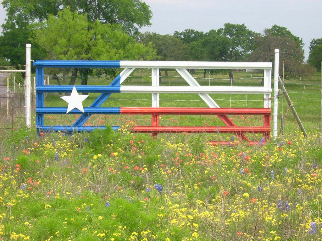 Beautiful Flag And Flowers Texas Wallpaper | Free Wallpapers