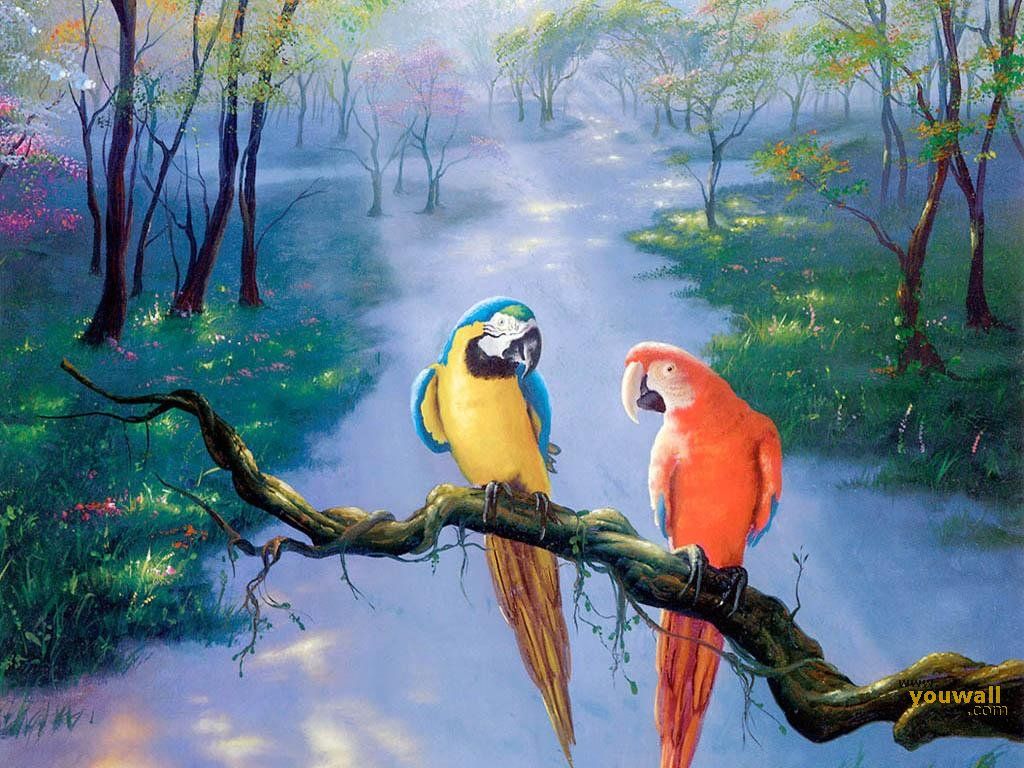 Parrot Desktop Wallpapers HD