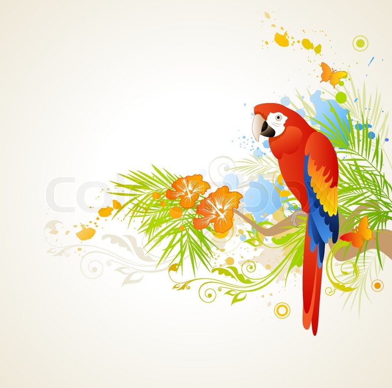 Vector summer background with ornament and parrot | Vector | Colourbox