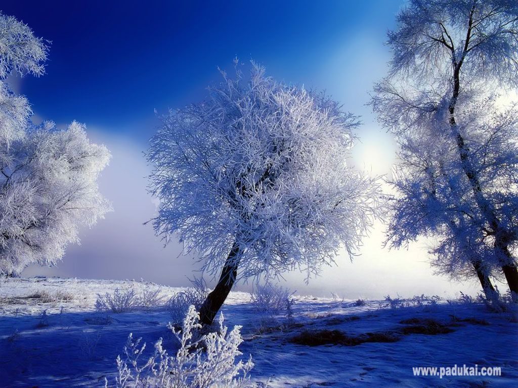 Download Beautiful Snow Scenery Free Wallpaper | Full HD Wallpapers