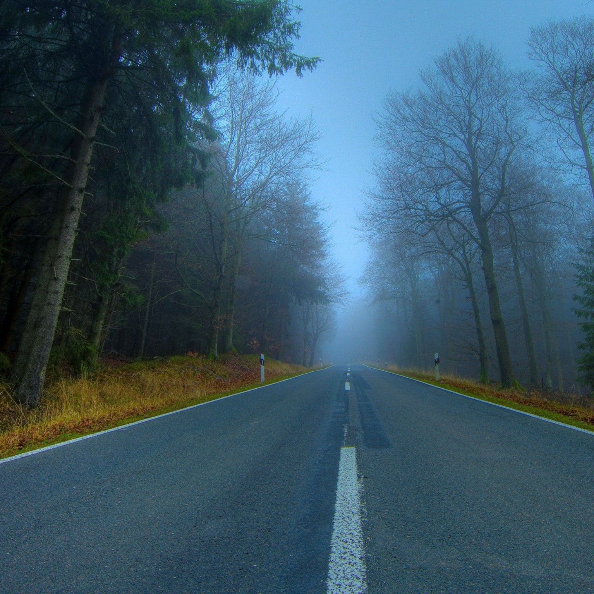 Foggy mountain road wallpaper Wallpapers Design