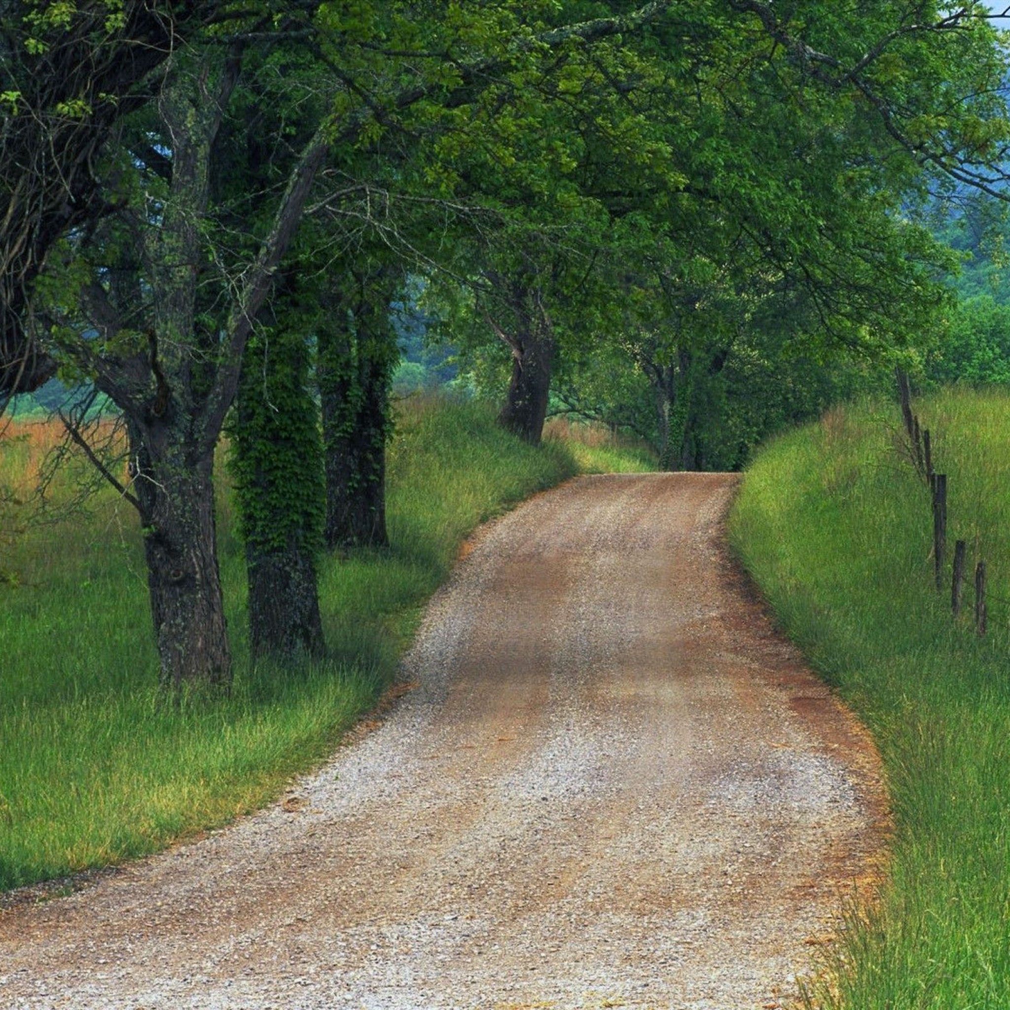 Country road wallpaper | Wallpapers Design