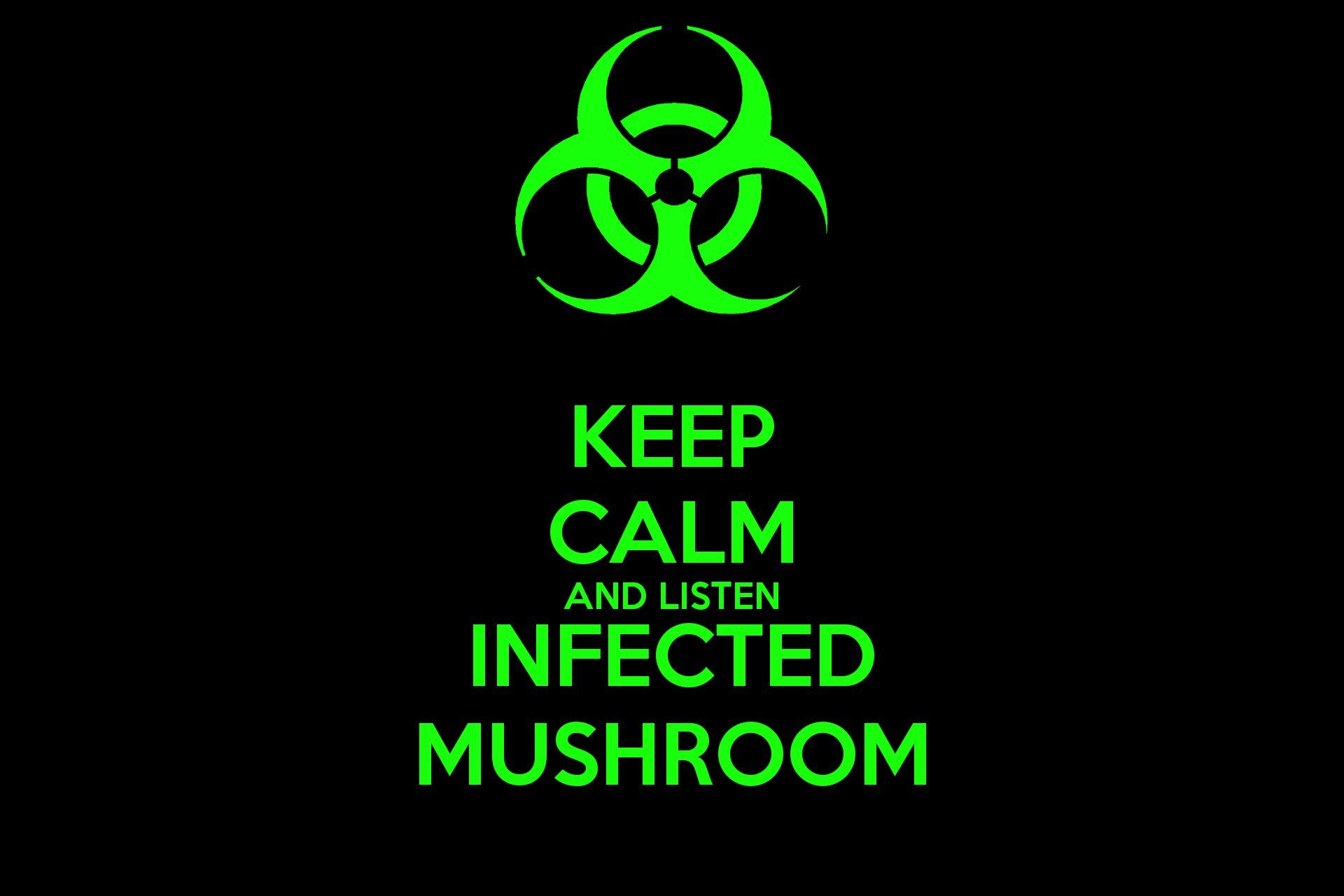INFECTED MUSHROOM psychedelic trance electro house electronica
