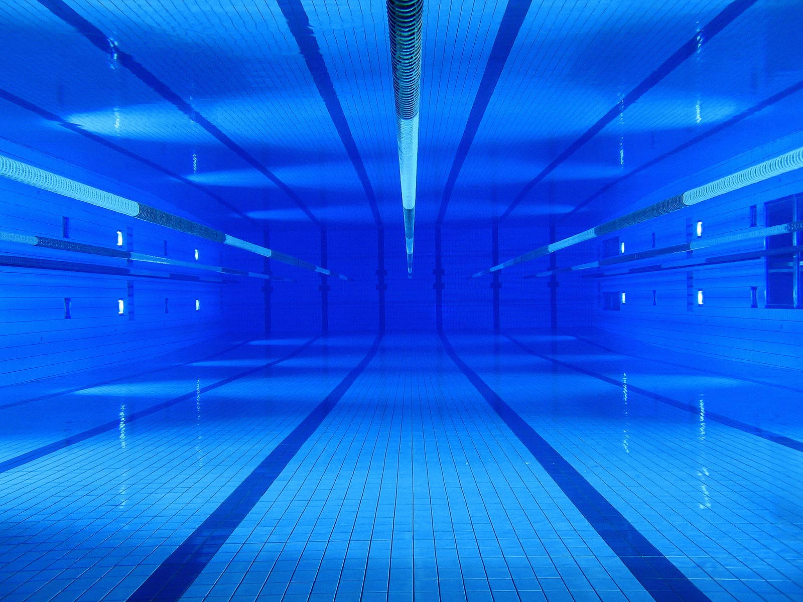 Swimming Desktop Wallpaper