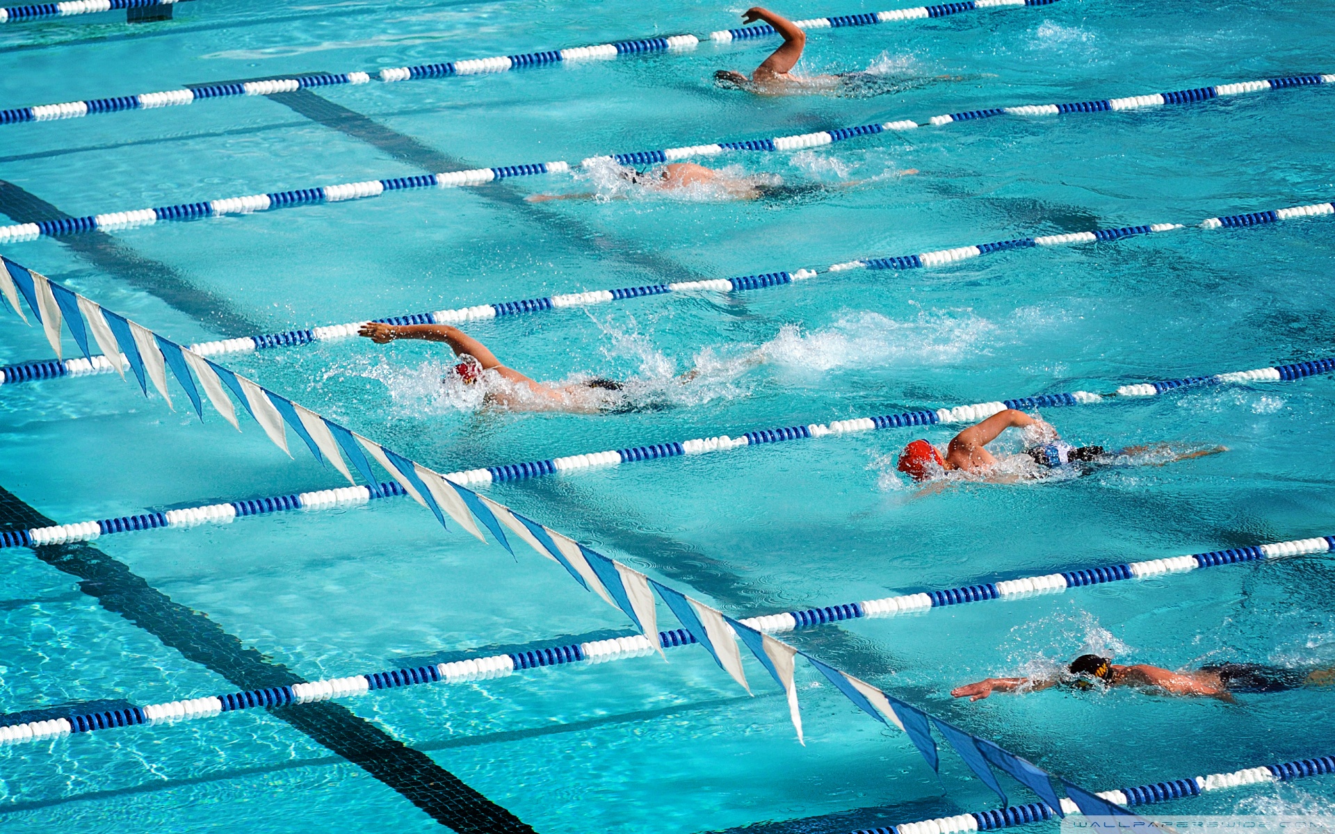 Olympic Swimming Pool wallpaper,Swimming hd Wallpaper For Desktop ...