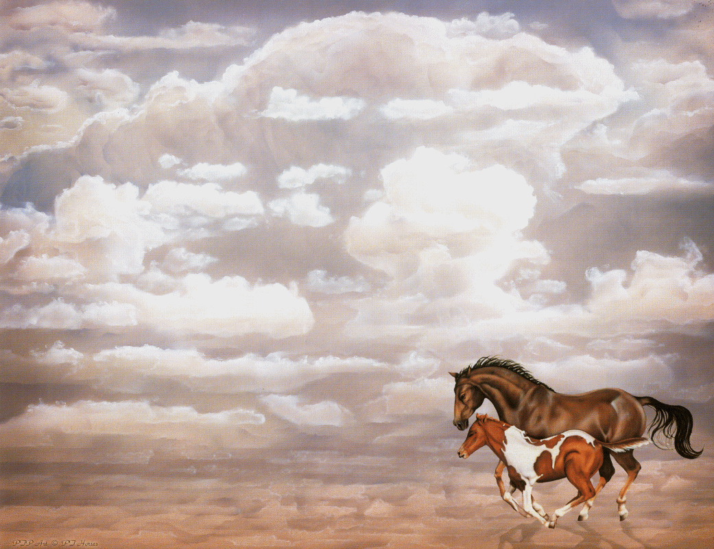 Horses.gif - Horse Ranch Bonaire