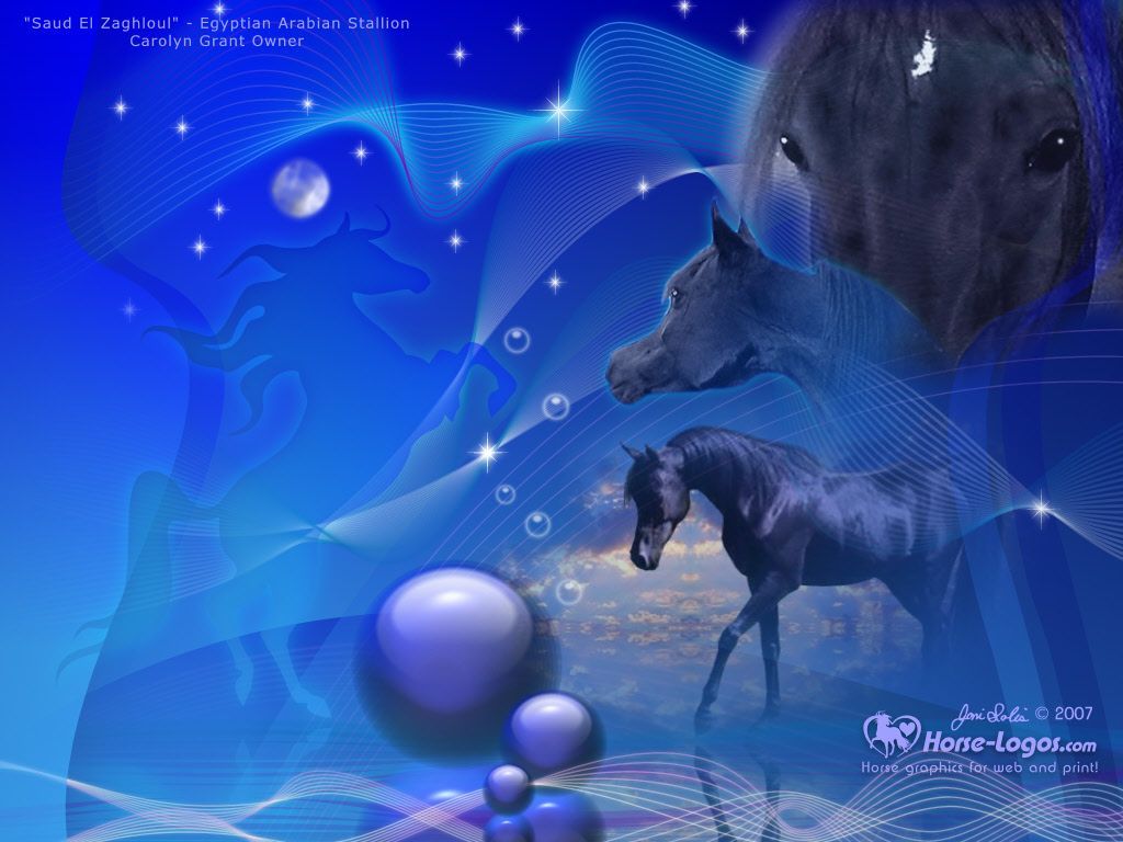 Free horse desktop wallpaper – ALove4Horses.com
