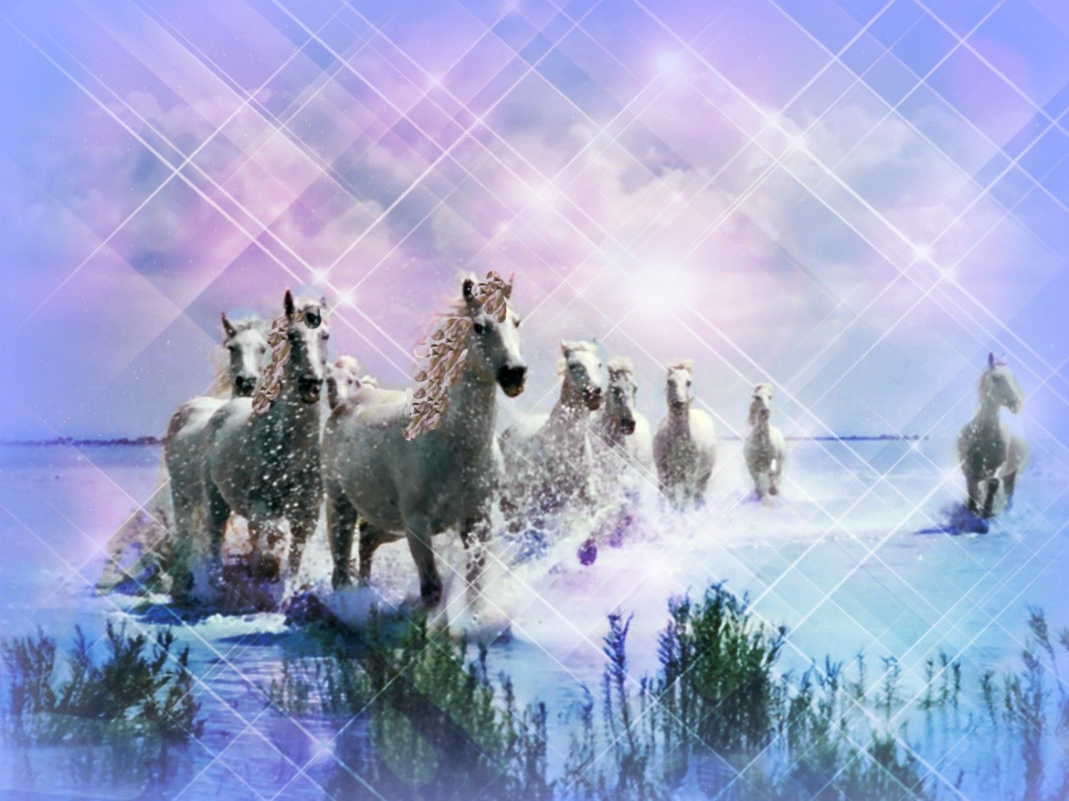 Horses: Fantasy Horses Running Animals Beach Water Freedom White ...
