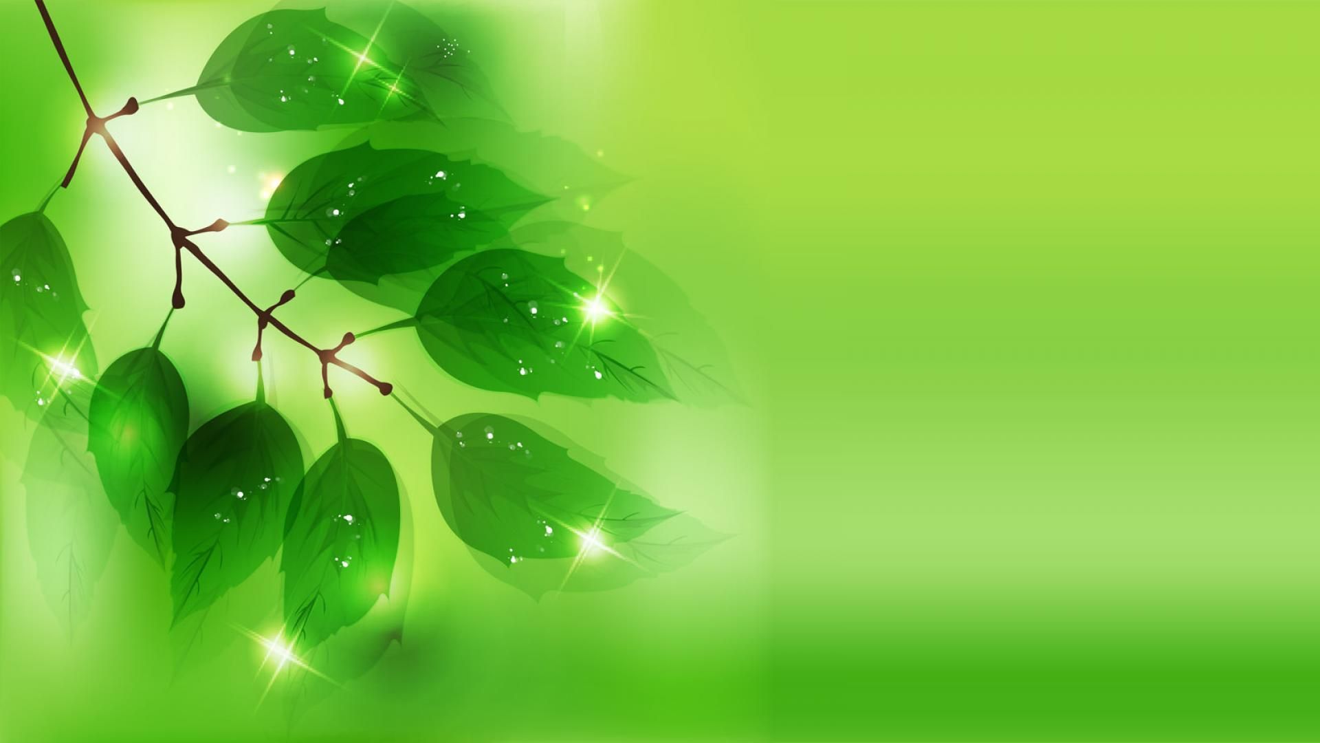 cool green backgrounds hd