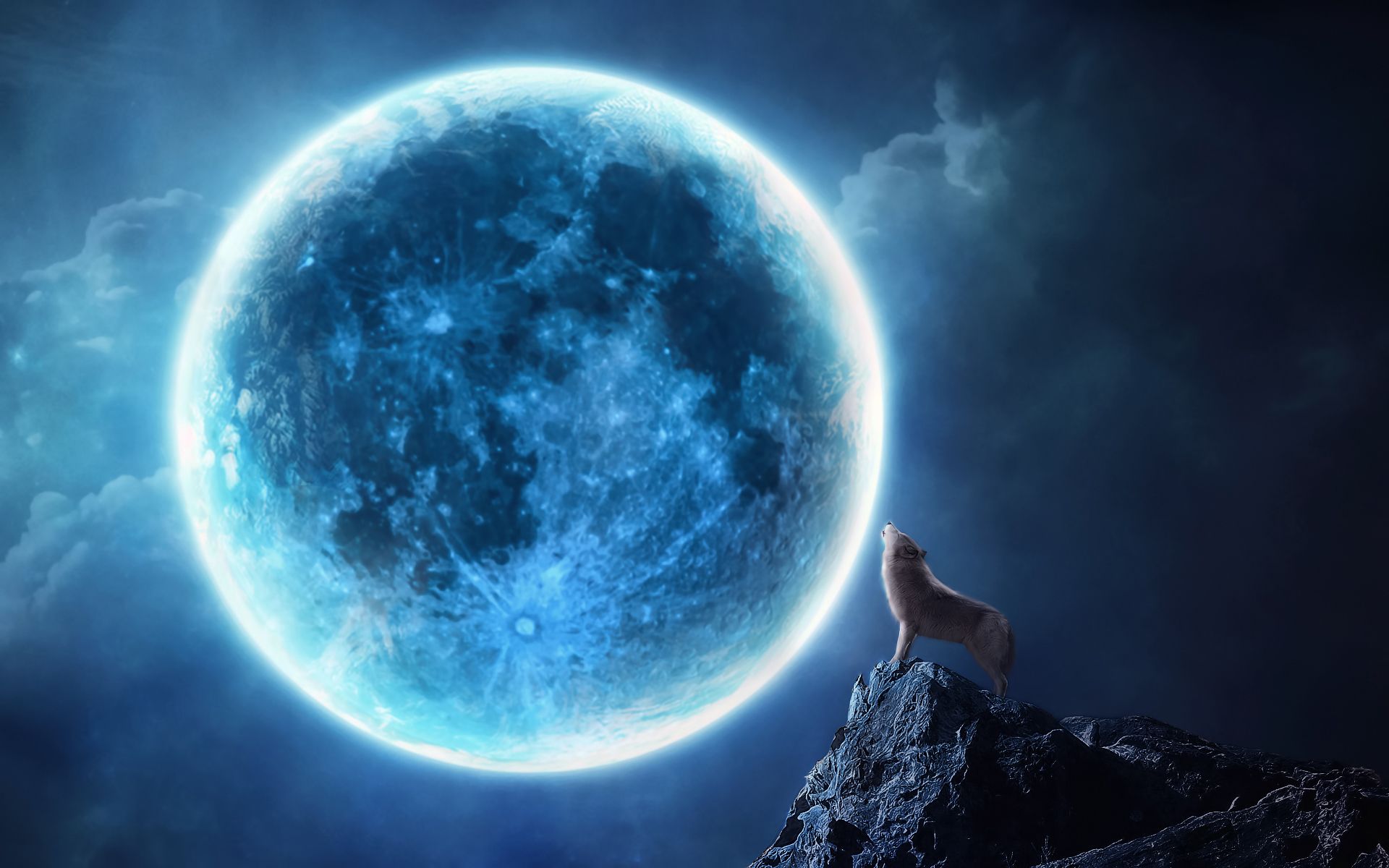 Top Howling Wolf Background Images for Pinterest