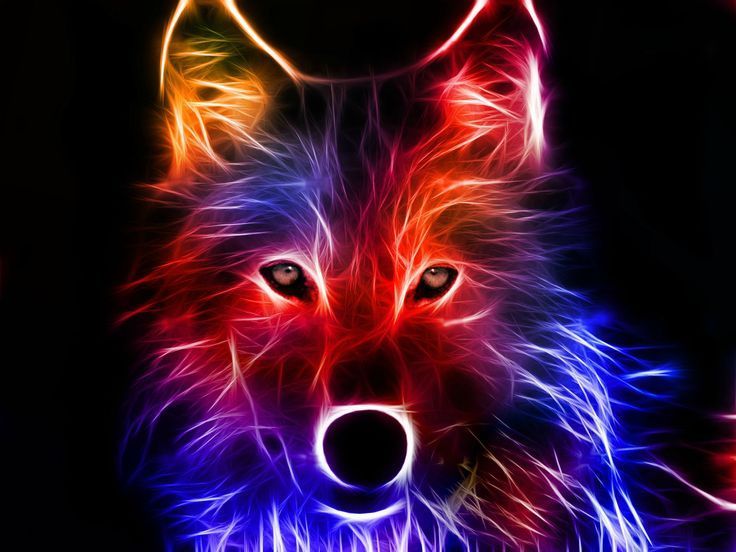Wolves on Pinterest Black Wolves, Grey Wolves and White Wolves