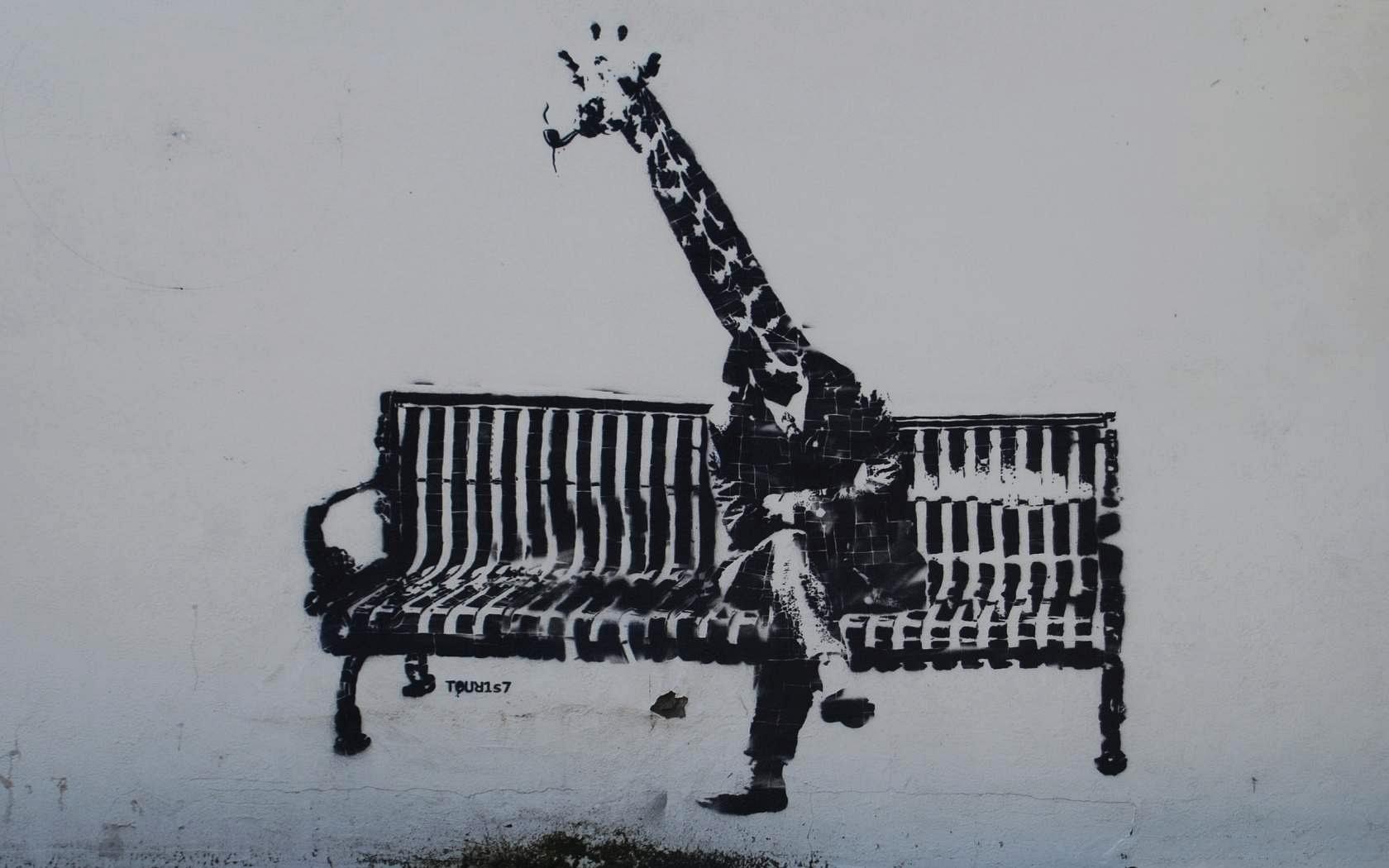 Wallpaper Funny Giraffe Style Banksy - 1680 x 1050 - Strange Funny