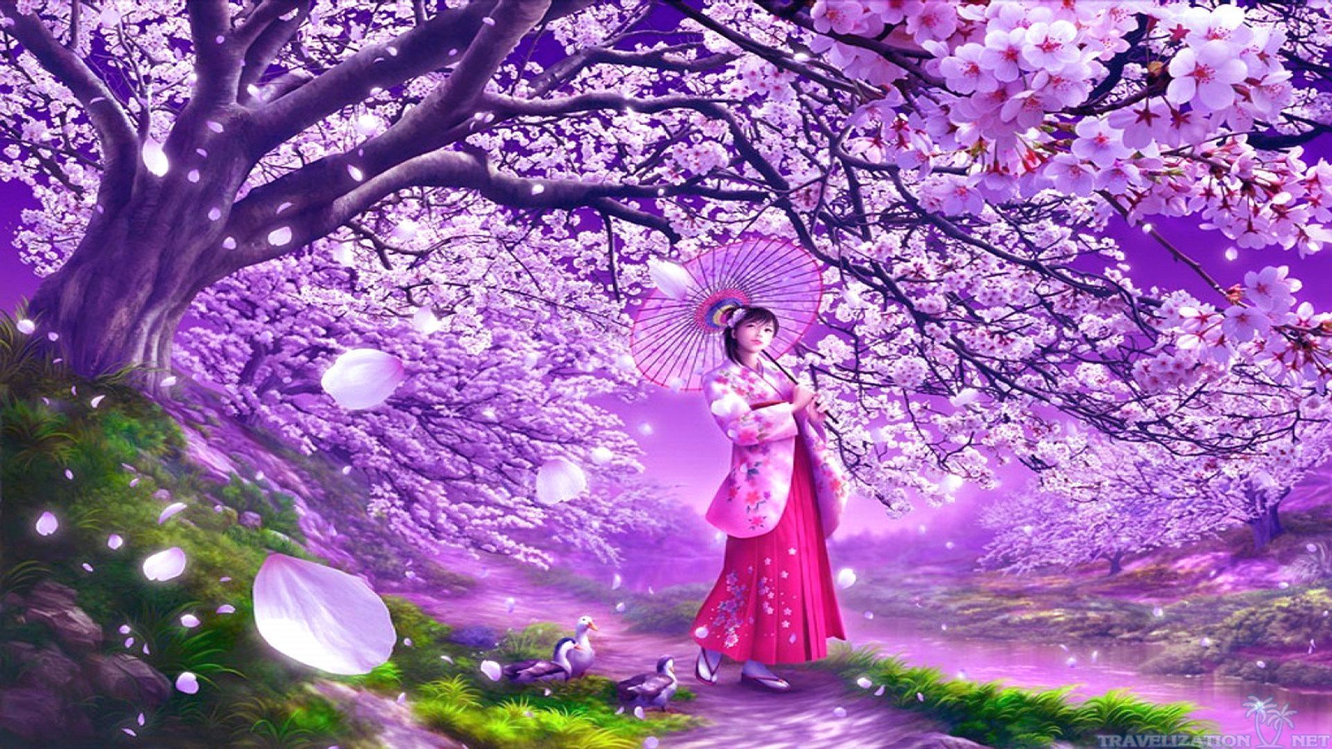 Stunning Cherry Blossom Wallpapers Travelization