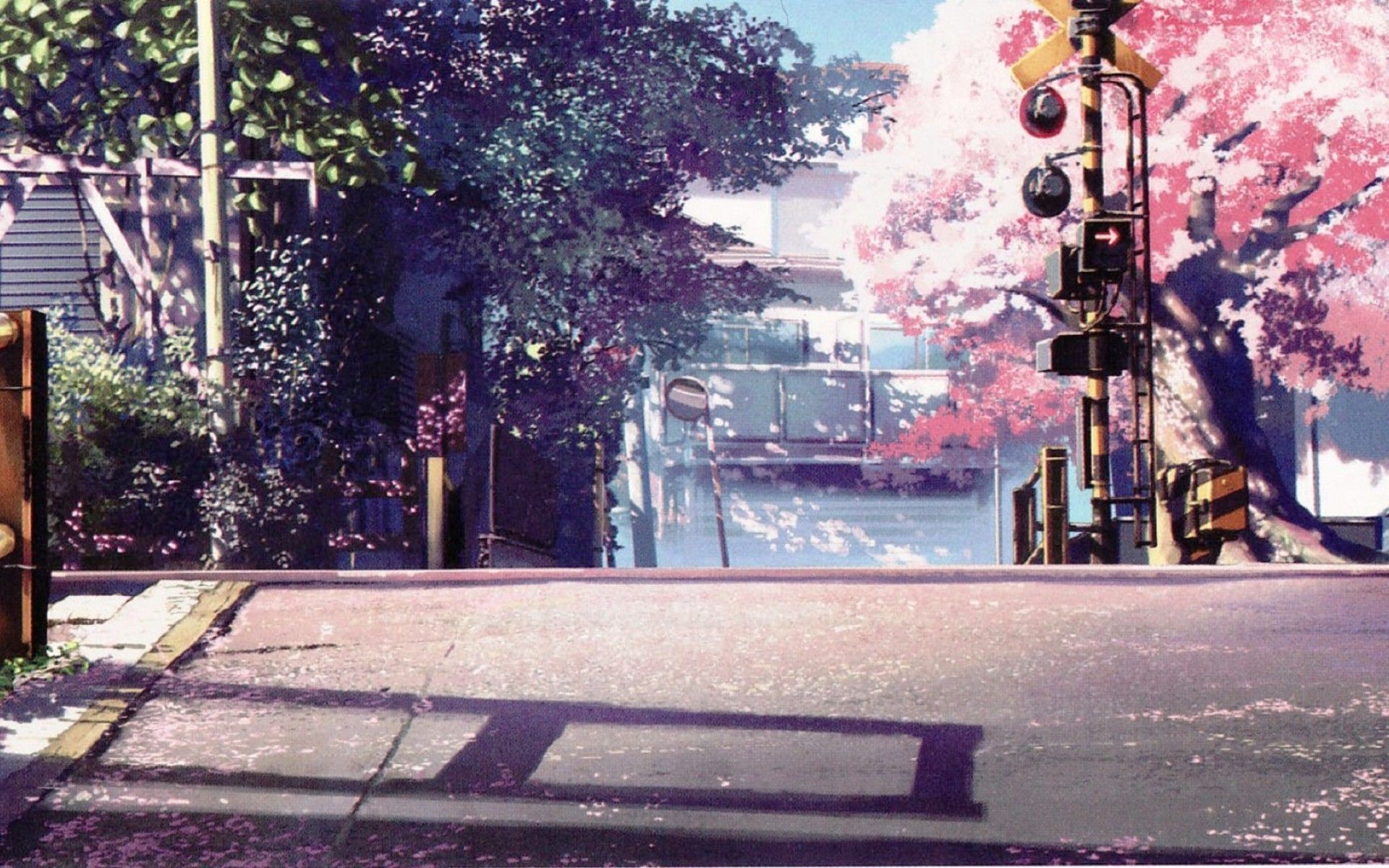 Sakura wallpapers