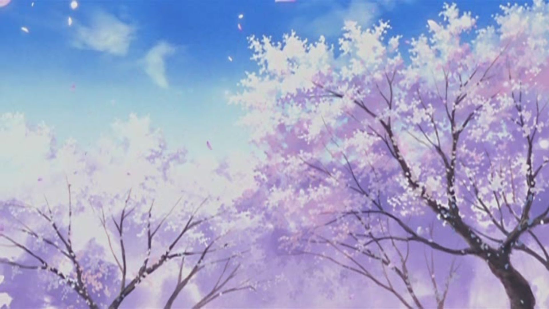 Cherry Blossom Anime Scenery Wallpaper Free Do #1512 Wallpaper ...