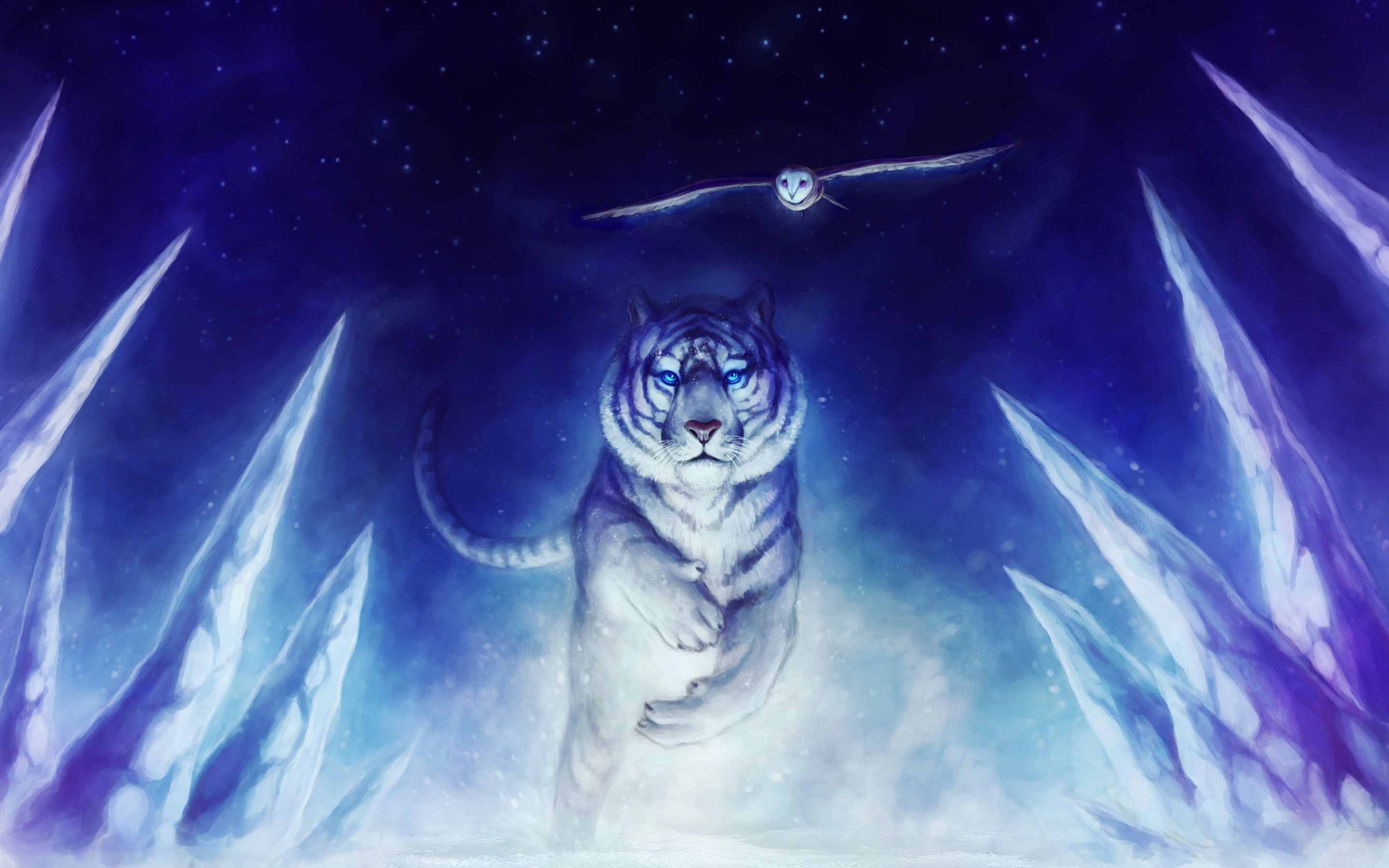 Top Tiger Desktop Wallpapers White Images for Pinterest