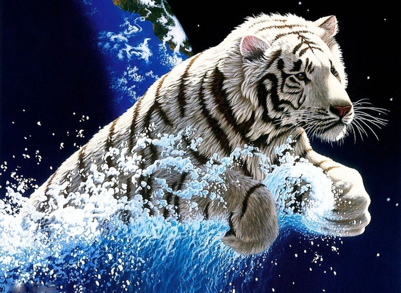 Wallpapers White Tiger