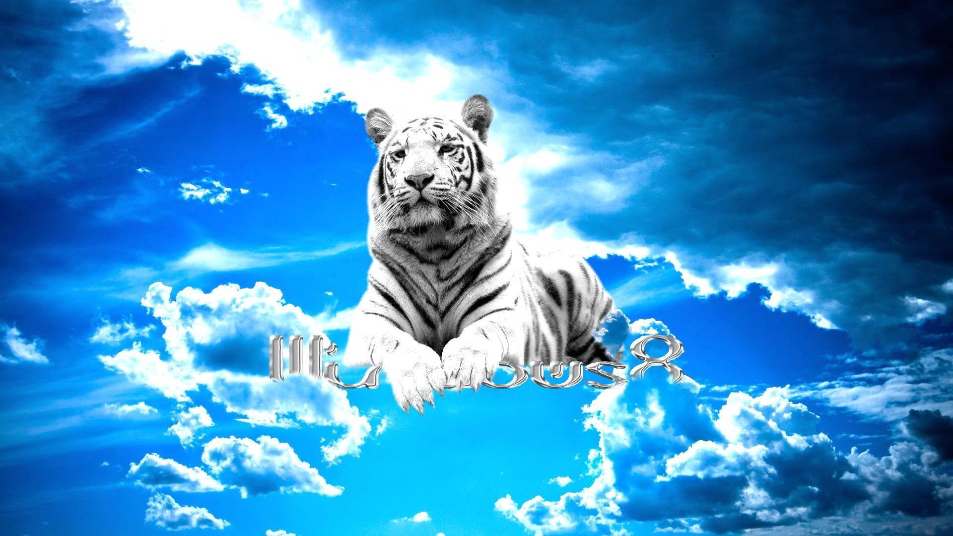 192 White Tiger HD Wallpapers | Backgrounds - Wallpaper Abyss - Page 3