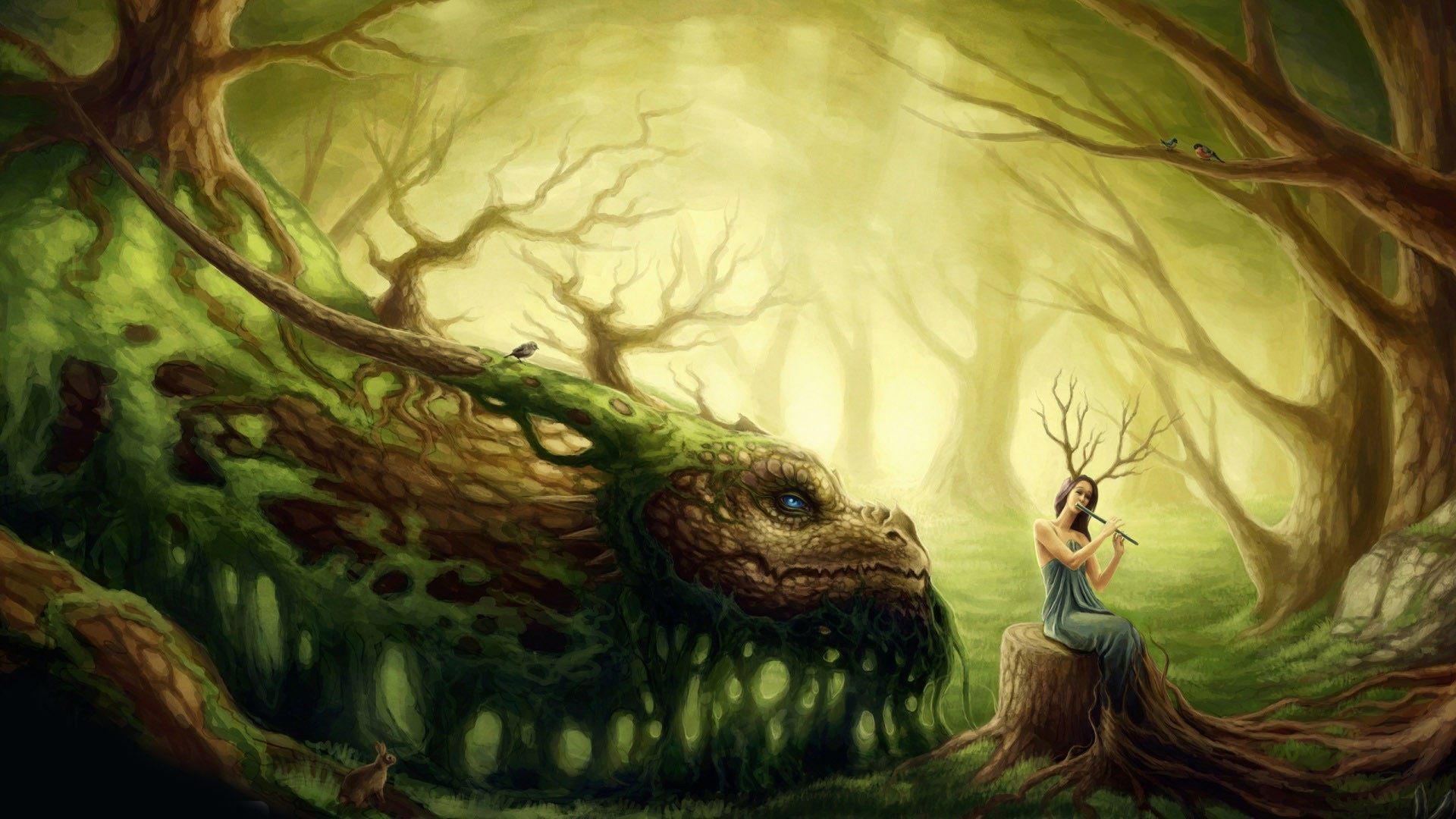 Fairy Dragon Fairy Tail Wallpaper Of Fairy and Forest Dragon