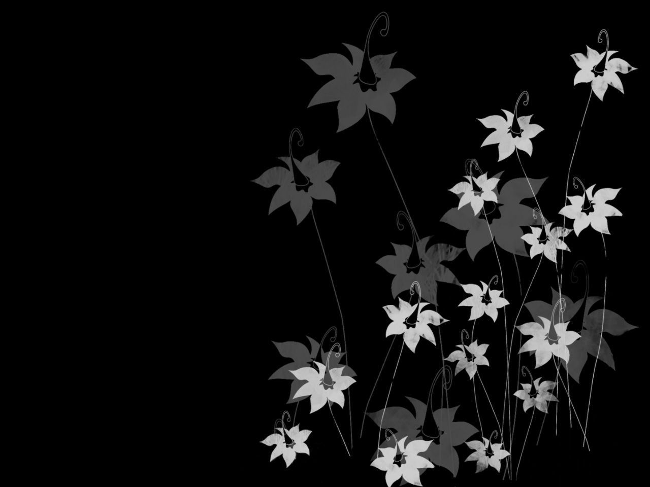 Floral Wallpaper With Black Background 28 Hd Wallpaper
