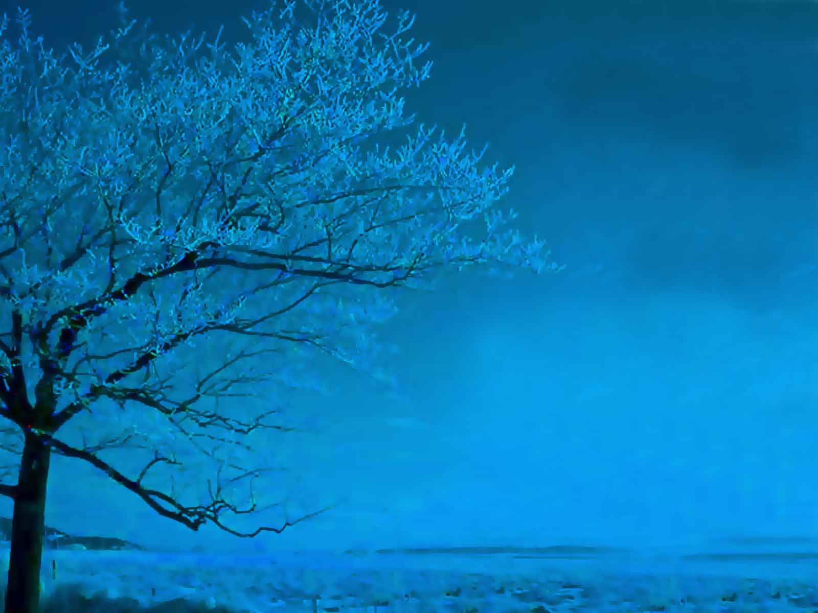 Tree In Light Blue Wallpaper - 20837