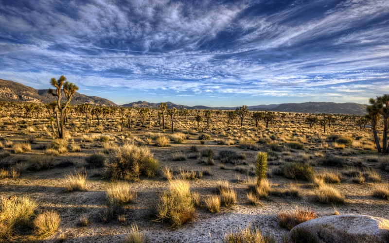 Arizona desert Arizona Desert HWY Nature Deserts HD Desktop