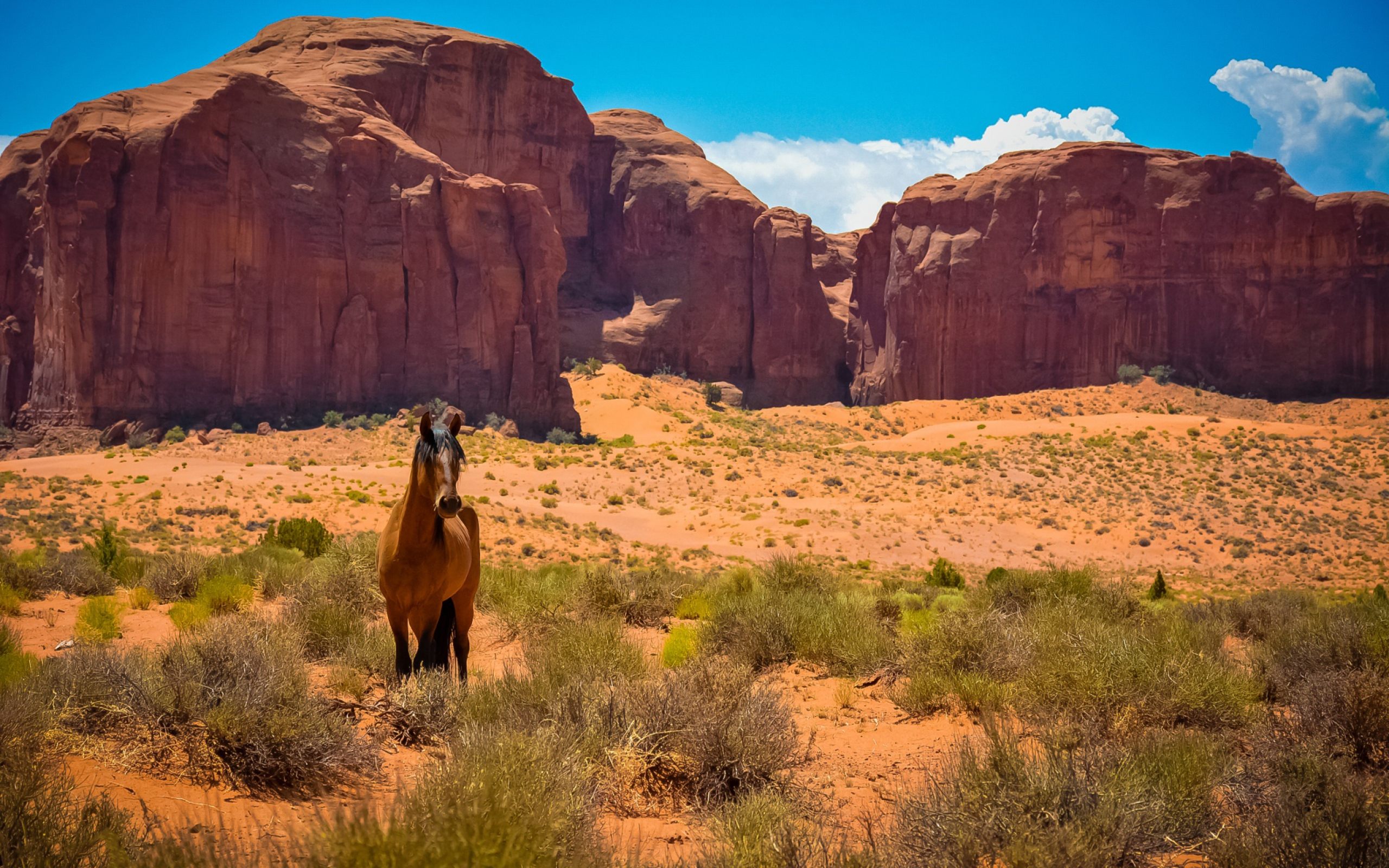 Monument Valley Arizona Desert Horse Wallpaper HD