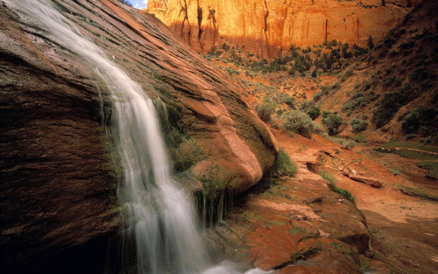 Arizona Desert Waterfall Windows 8 Wallpaper wallpapers x