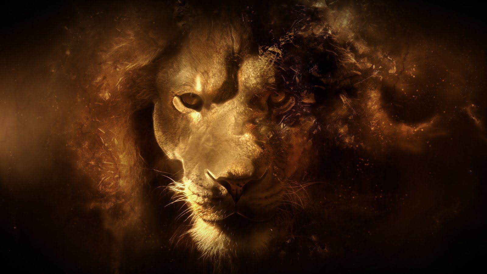 794 Lion HD Wallpapers | Backgrounds - Wallpaper Abyss