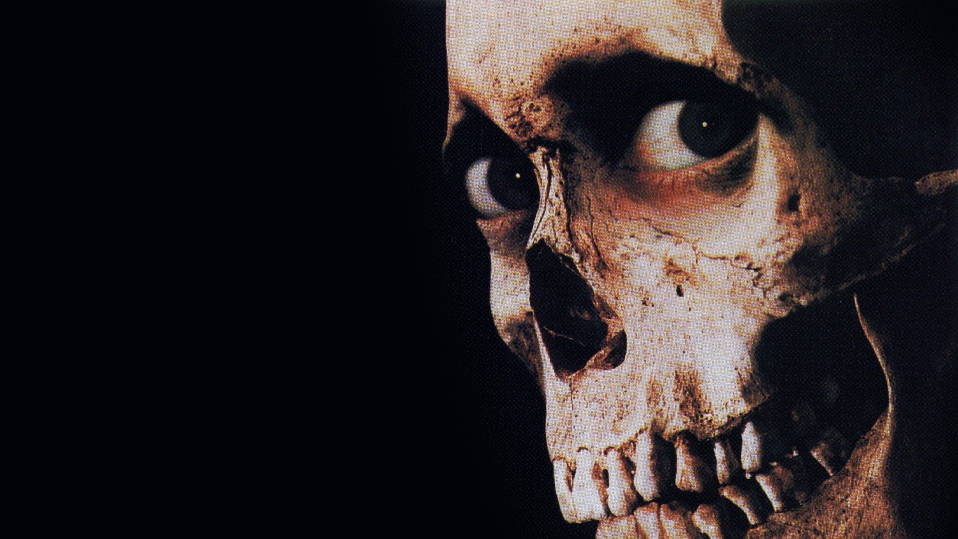 Evil Dead II (1987) • movies.film-cine.com