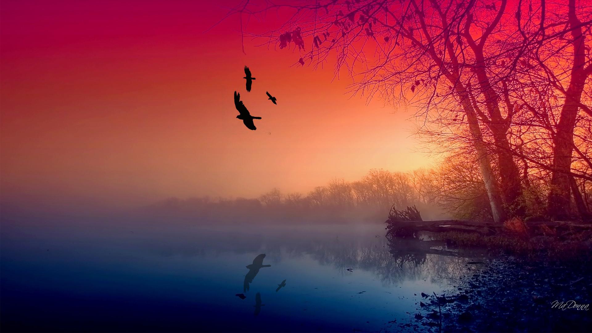 Misty fall sunrise - - High Quality and Resolution