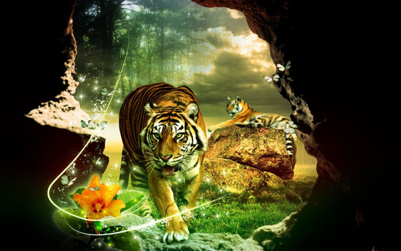 Tiger - Tigers Wallpaper 5091178 - Fanpop