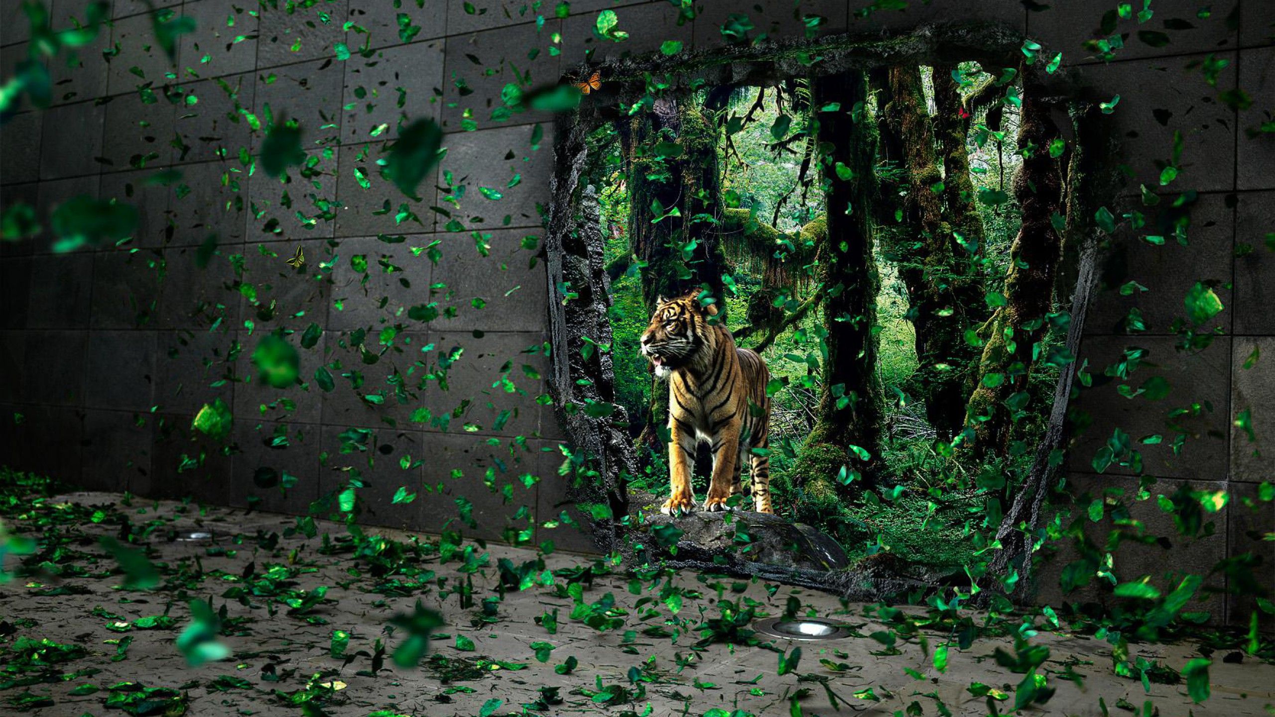 Facebook Cover Photos Nature 3D 1954116