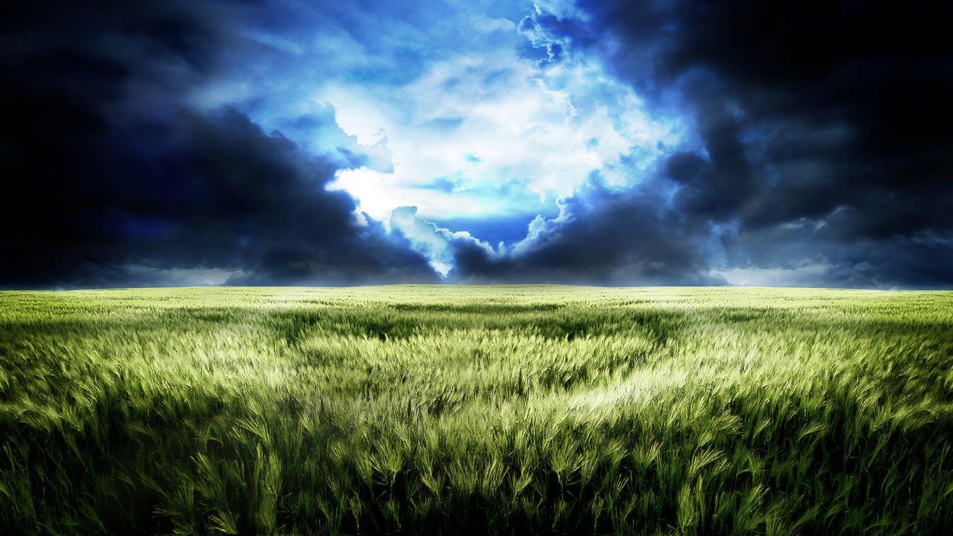 Wheat fields, clouds, evening, nature, background | HD Wallpapers