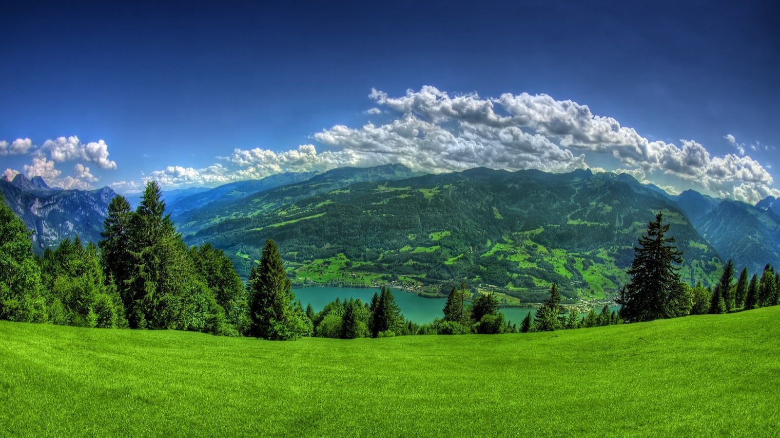 Lush Green Grass Mountains Full HD Nature High Res Wallpapers for