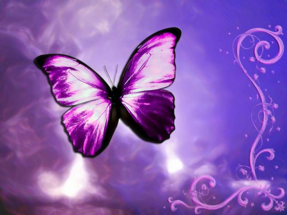 Butterflies purple w blue background the secret keeper
