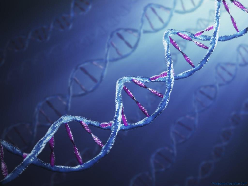 Wallpapers Genetics Deoxyribonucleic Acid Dna Is A Nucleic