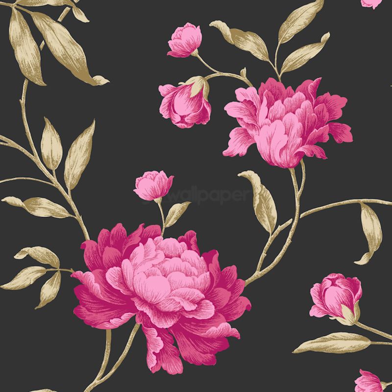Pink And Black Wallpaper - HD Desktop Wallpapers
