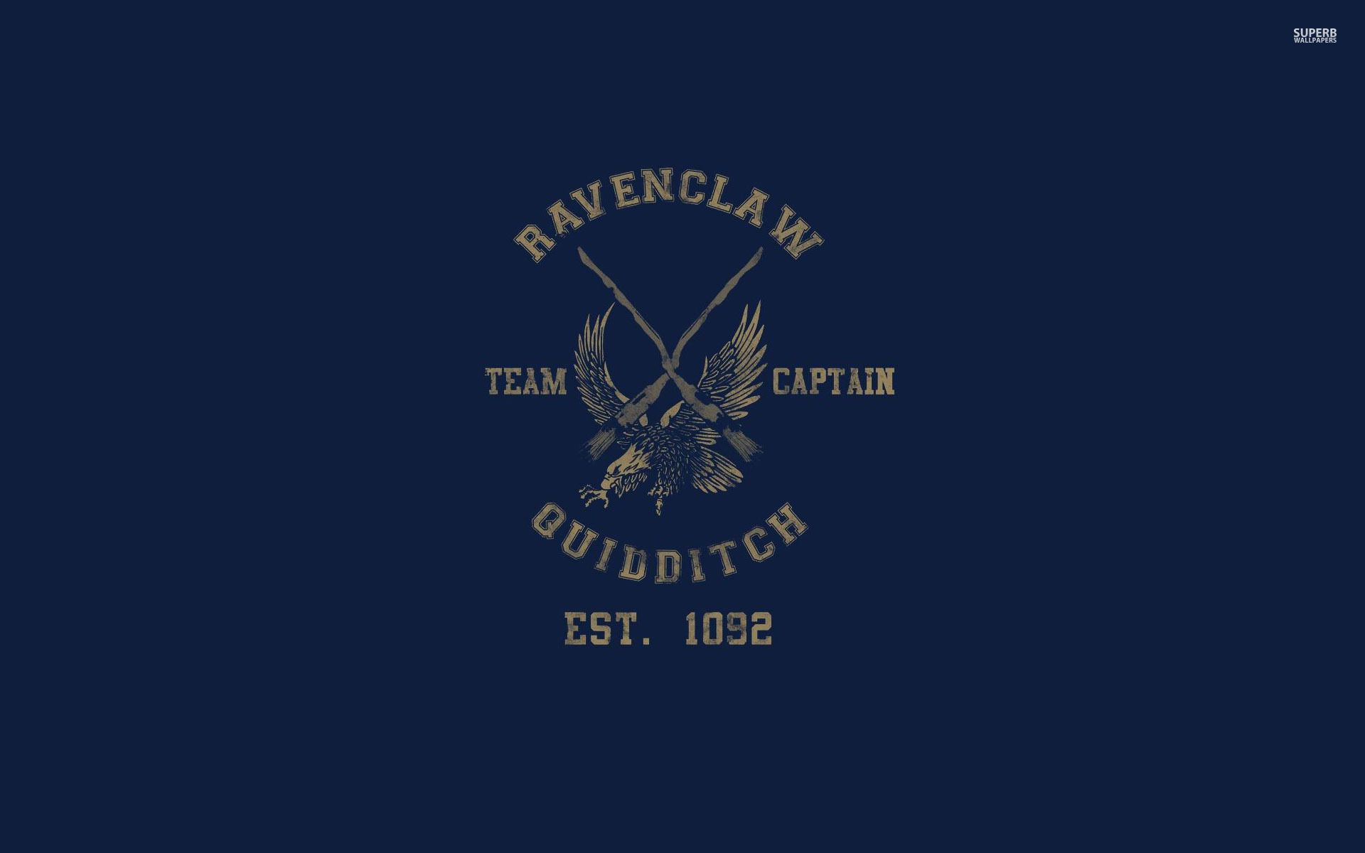 Ravenclaw Quidditch Wallpaper - 194680