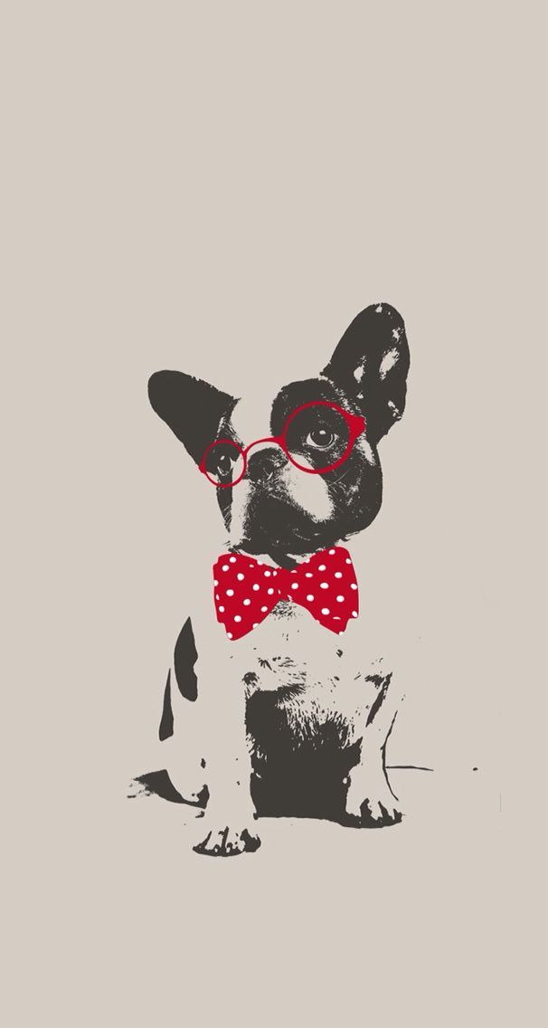French Bulldog, illustration, wallpaper, pop art. French