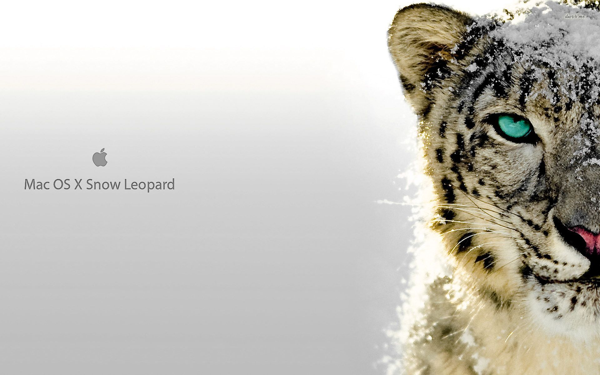 Snow Leopard Mac OS X HD Desktop Wallpaper Background download