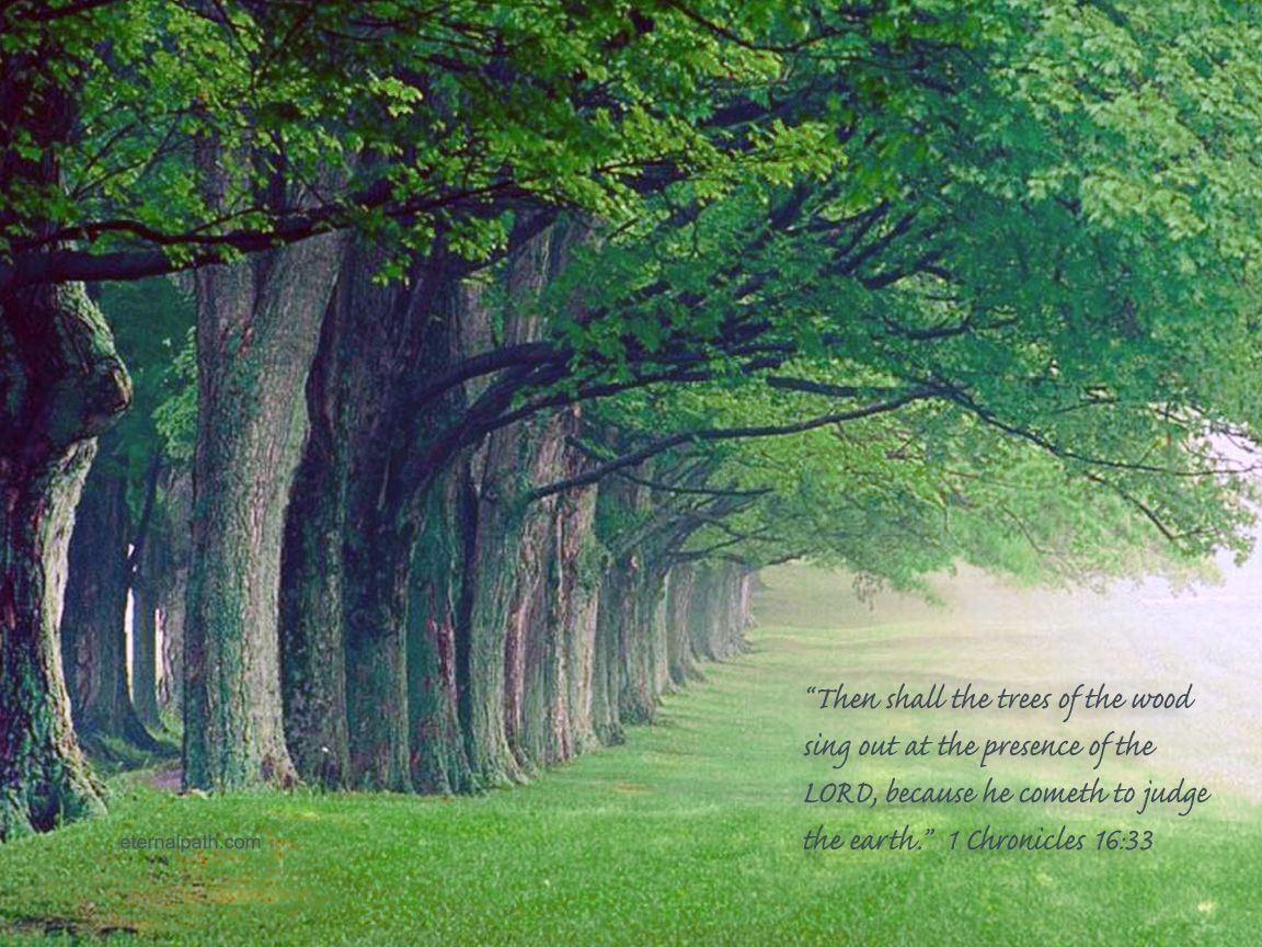 1 Chronicles 16:33 - Faith Trees Wallpaper - Christian Wallpapers ...