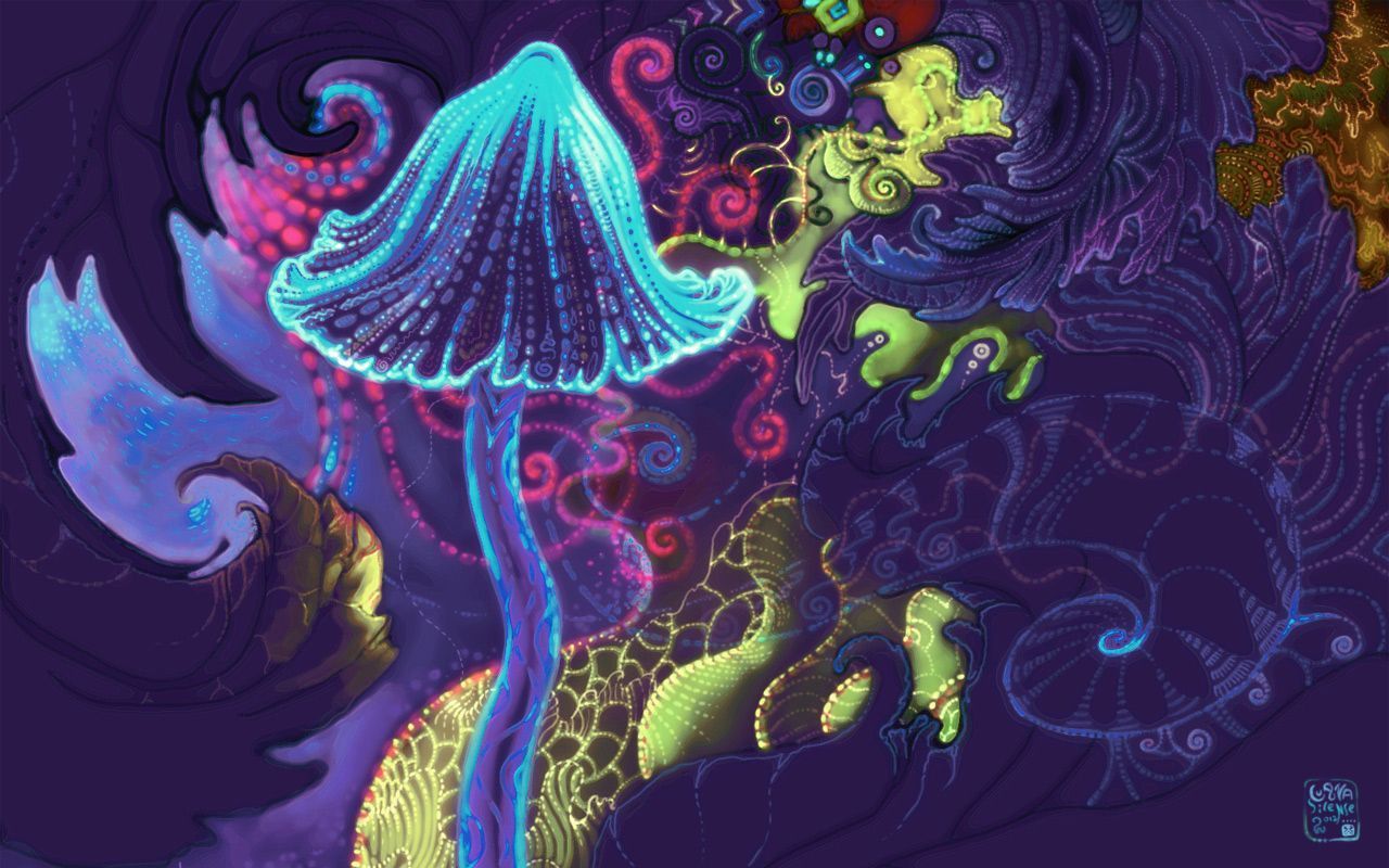 Magic mushroom wallpapers and images - wallpapers, pictures, photos